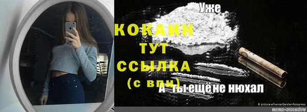 apvp Верея