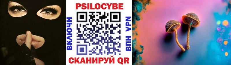 дарнет шоп Неман Галлюциногенные грибы ЛСД